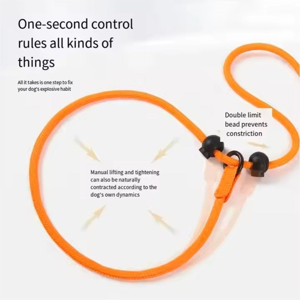 Nylon Slip Lead Dog Slip Leash and Collar Dog Training Leash with Double Handle