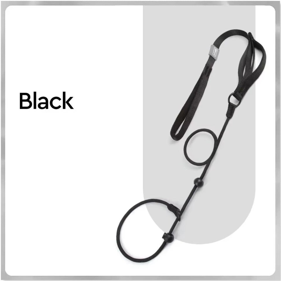 Nylon Slip Lead Dog Slip Leash and Collar Dog Training Leash with Double Handle