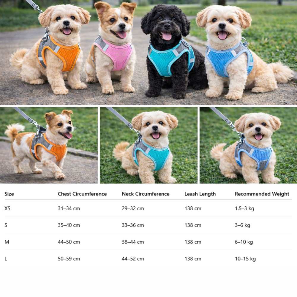 Dog Harness Lightweight No Pull Fully Adjustable Breathable Puppy Vest Belt Soft Padded Handle Available in XS, Small, Medium, Large Sizes