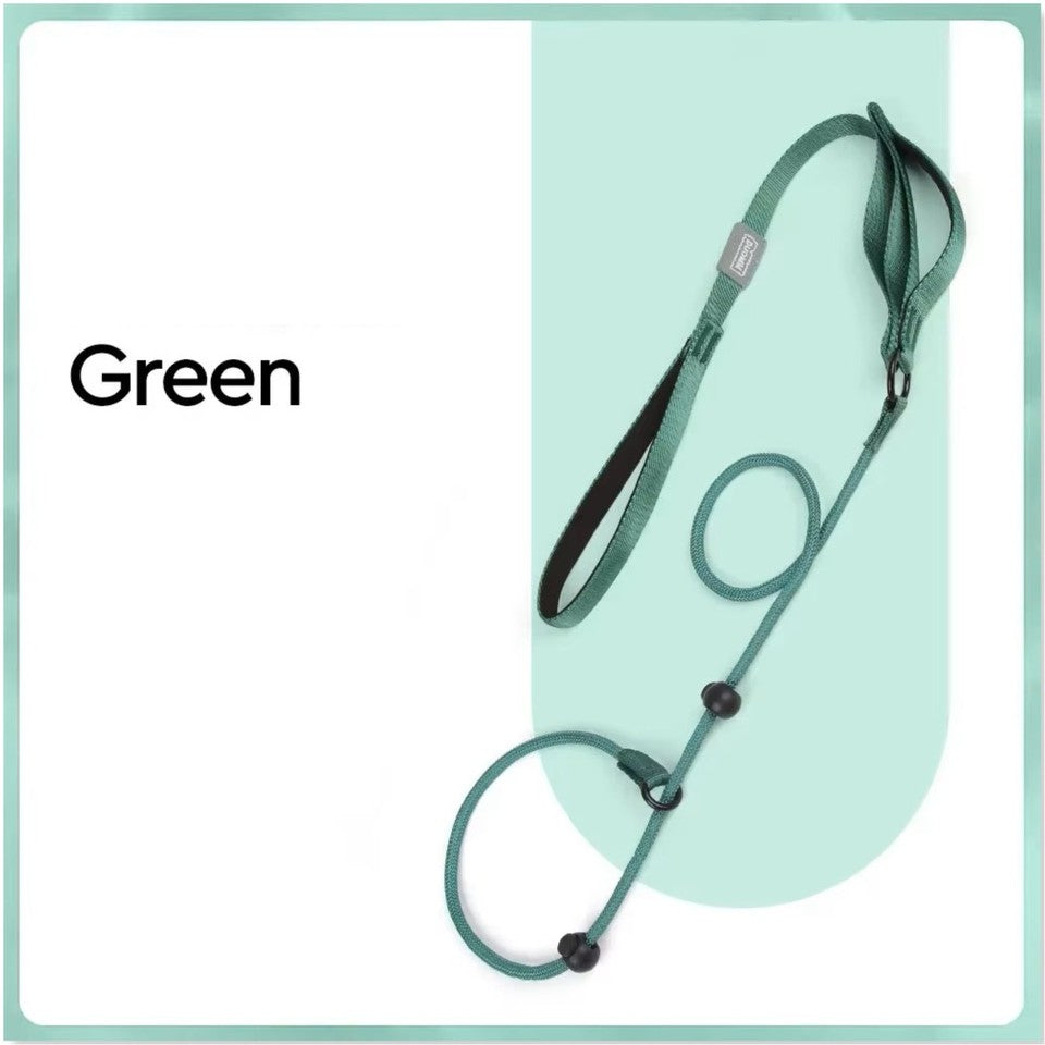 Nylon Slip Lead Dog Slip Leash and Collar Dog Training Leash with Double Handle