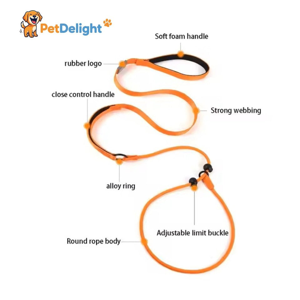 Nylon Slip Lead Dog Slip Leash and Collar Dog Training Leash with Double Handle