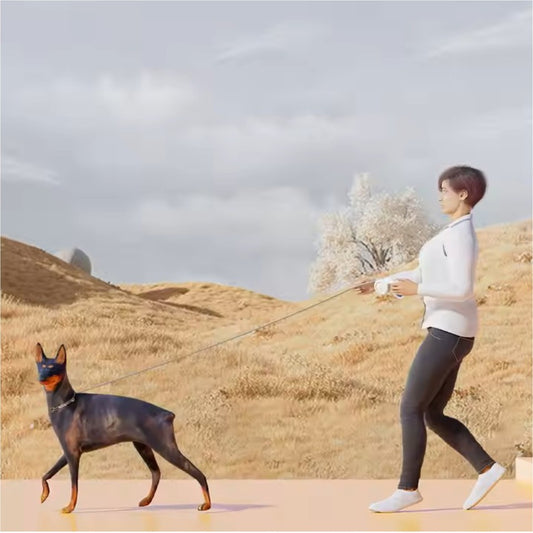 Retractable Dog Lead Extending Leash Tape Nylon Adjustable Durable Pet Leash 5m