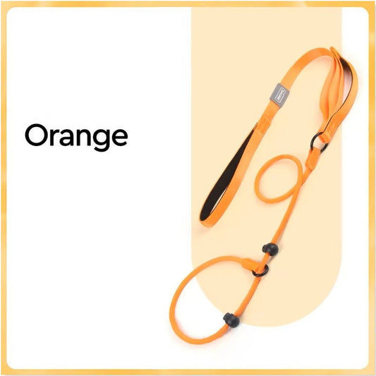 Nylon Slip Lead Dog Slip Leash and Collar Dog Training Leash with Double Handle