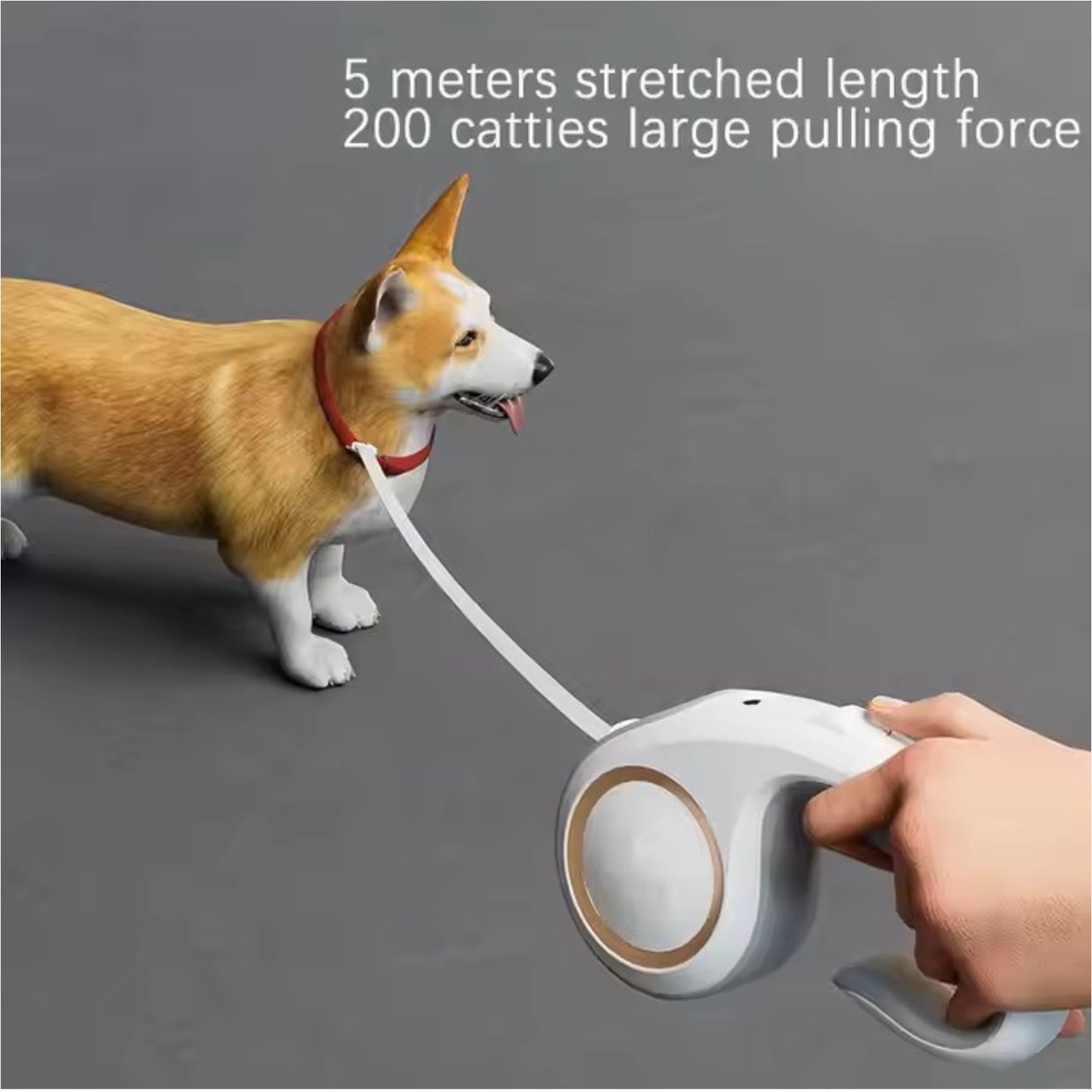 Retractable Dog Lead Extending Leash Tape Nylon Adjustable Durable Pet Leash 5m