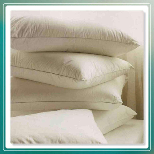 Pack of 4 Luxury Duck Feather and Down Pillow 